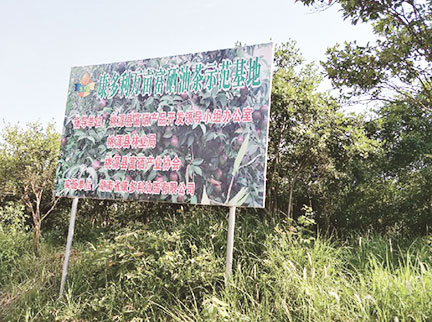 ks¿Ê±ÍøÕ¾¡¤(ÖйúÇø)¹Ù·½ÍøÕ¾